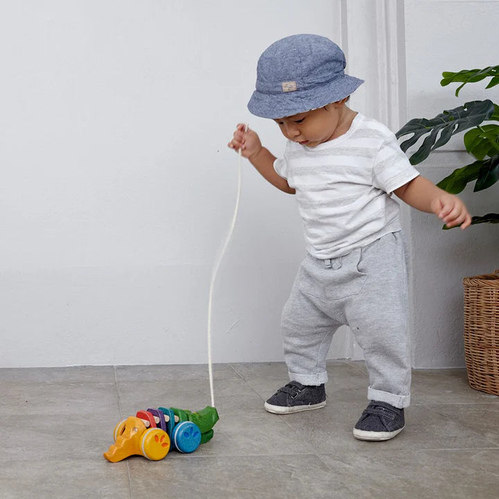 Plantoys Rainbow Alligator