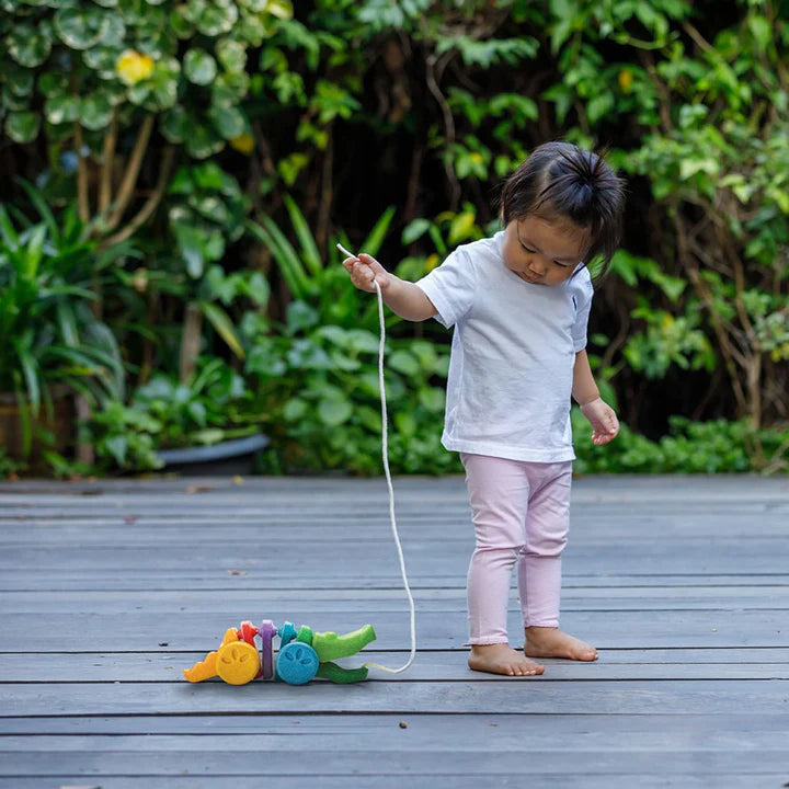 Plantoys Rainbow Alligator