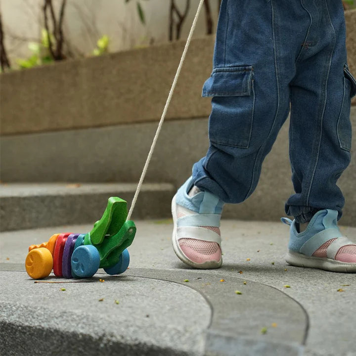 Plantoys Rainbow Alligator