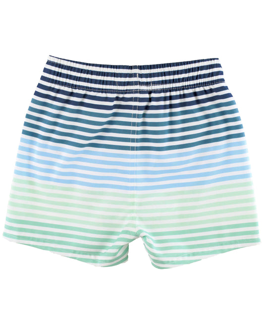Boys Coastal Stripe Swim Trunks