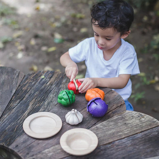 Plantoys 5 Colors Veggie Set