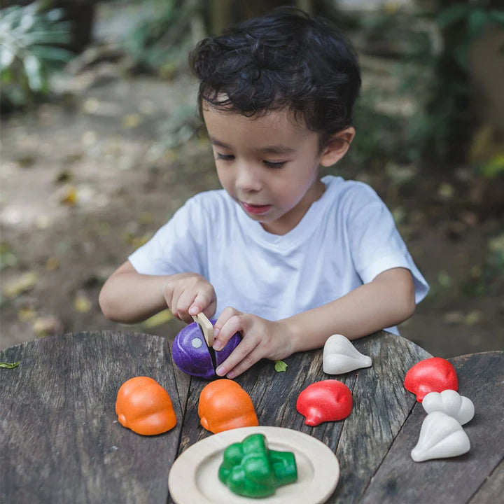 Plantoys 5 Colors Veggie Set