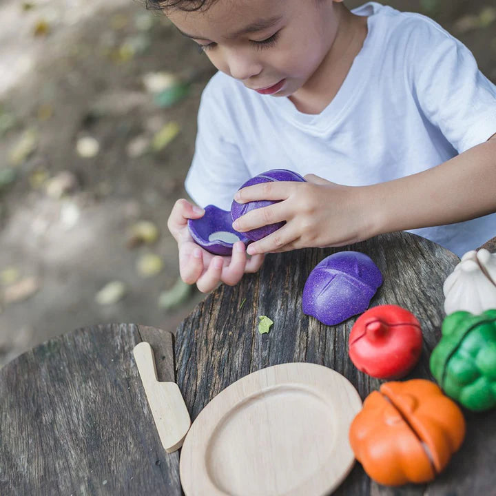 Plantoys 5 Colors Veggie Set