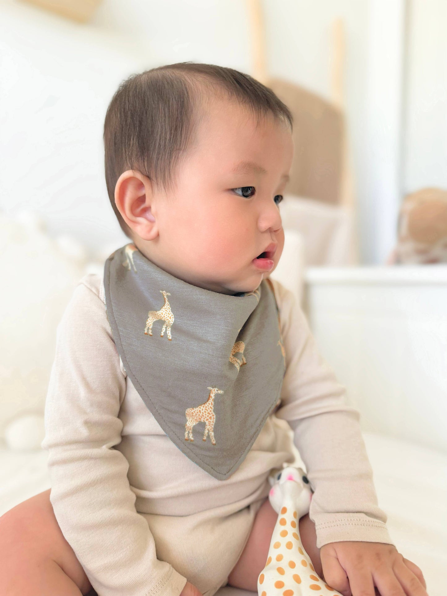 BANDANA BIBS