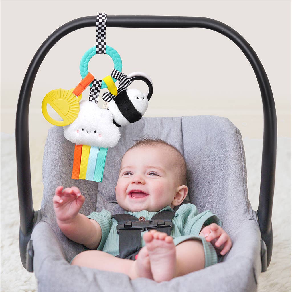 *NEW OPTION* Bitzy Busy Ring™ Teething Activity Toy