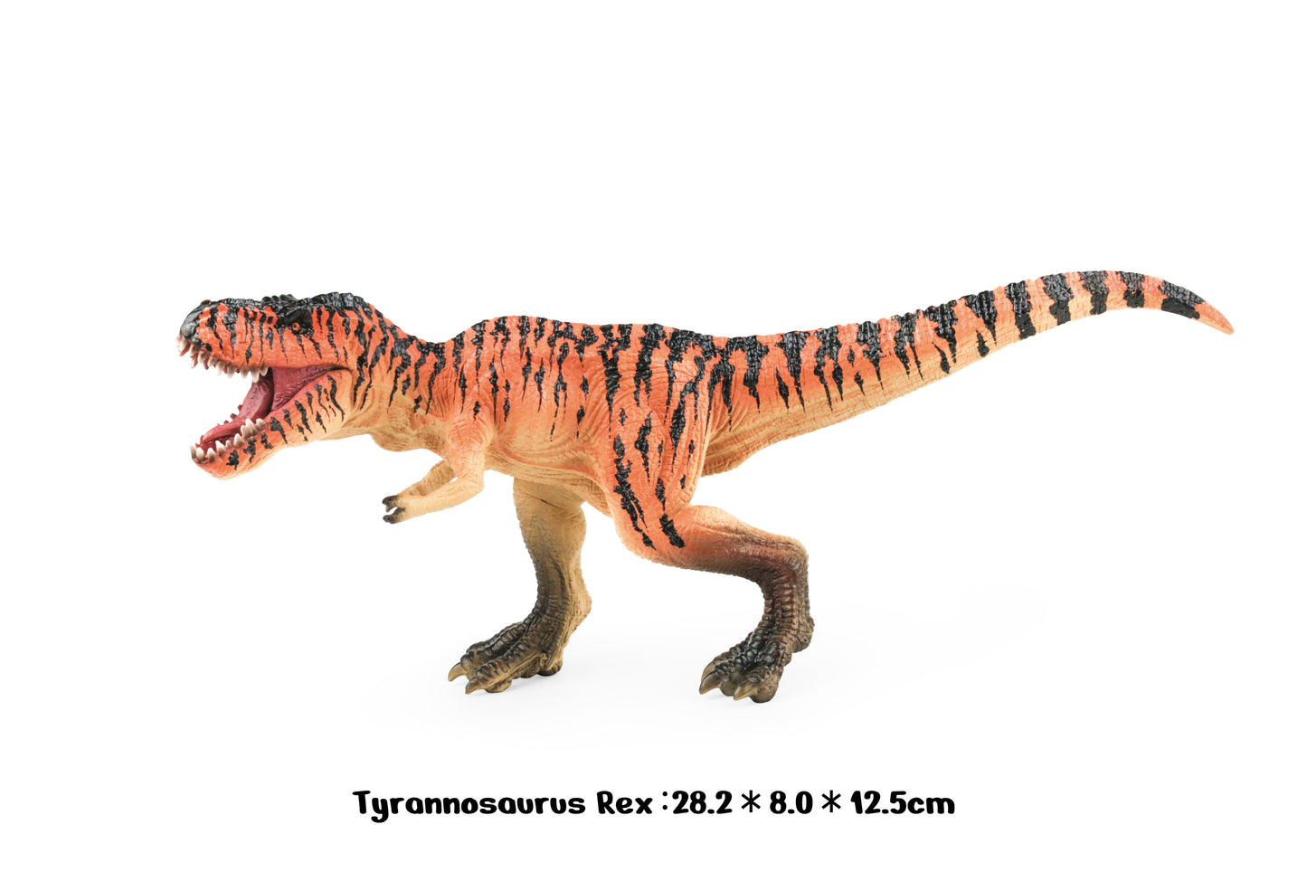 Dinosaur Set