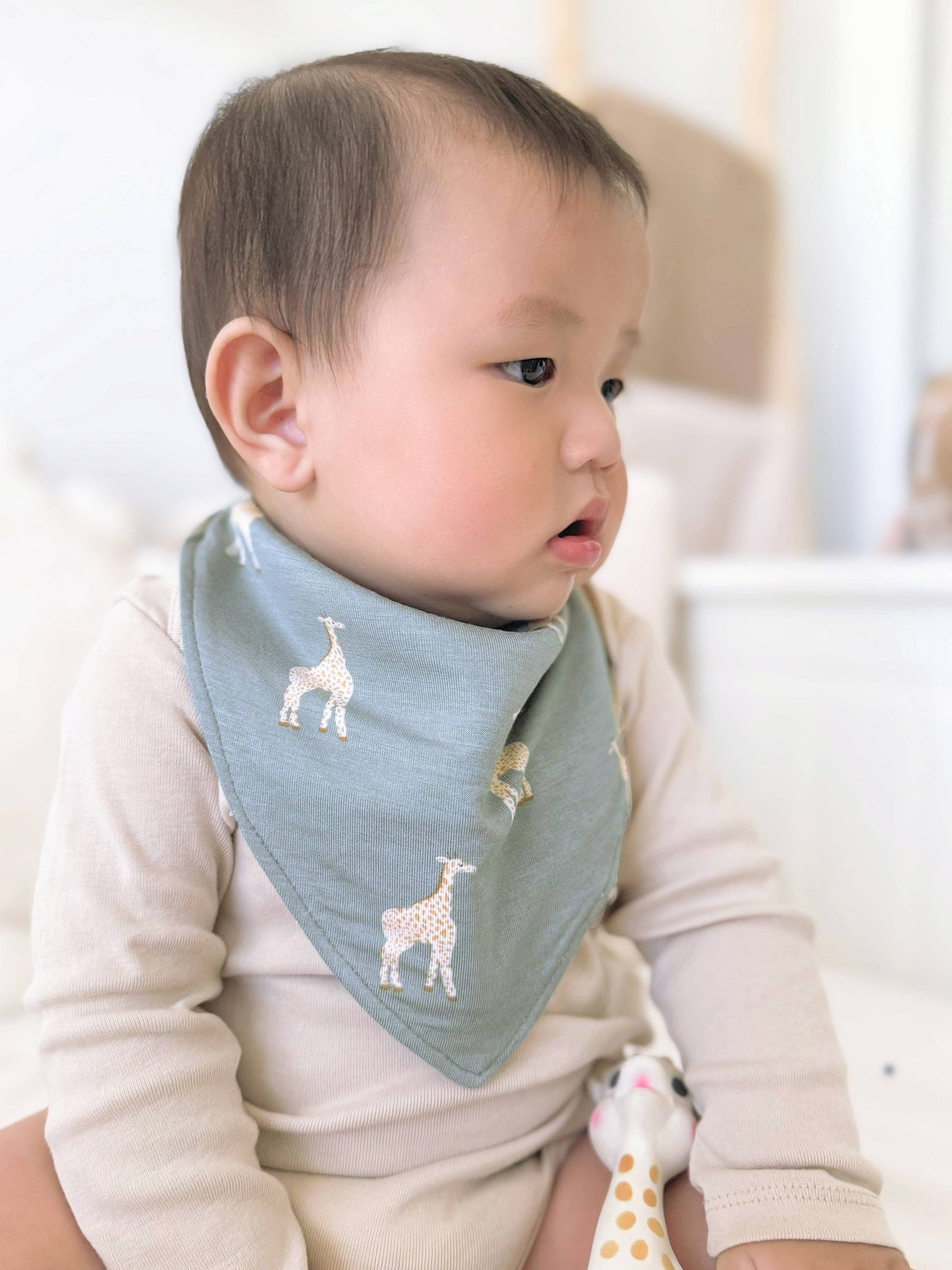 BANDANA BIBS