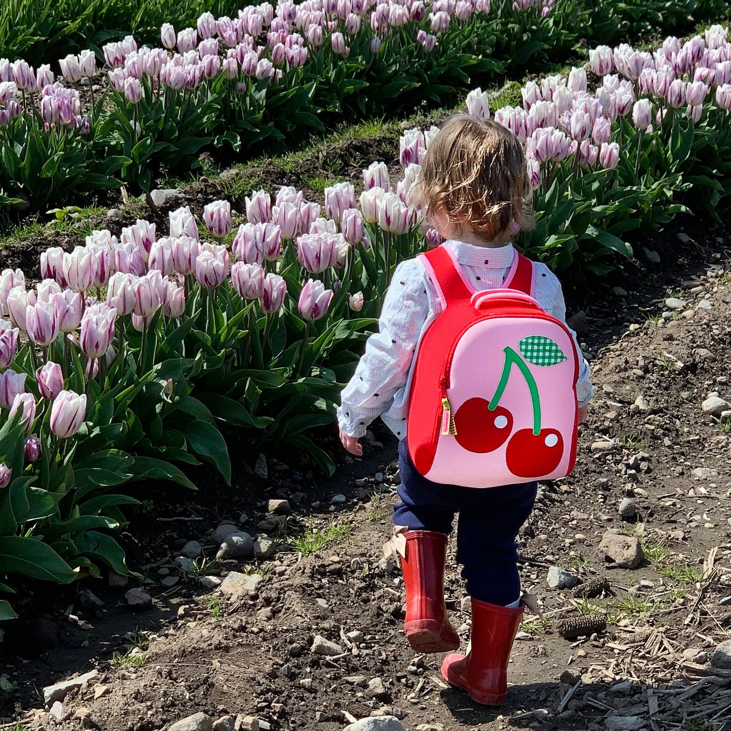 Harness Toddler Backpack - Cherry