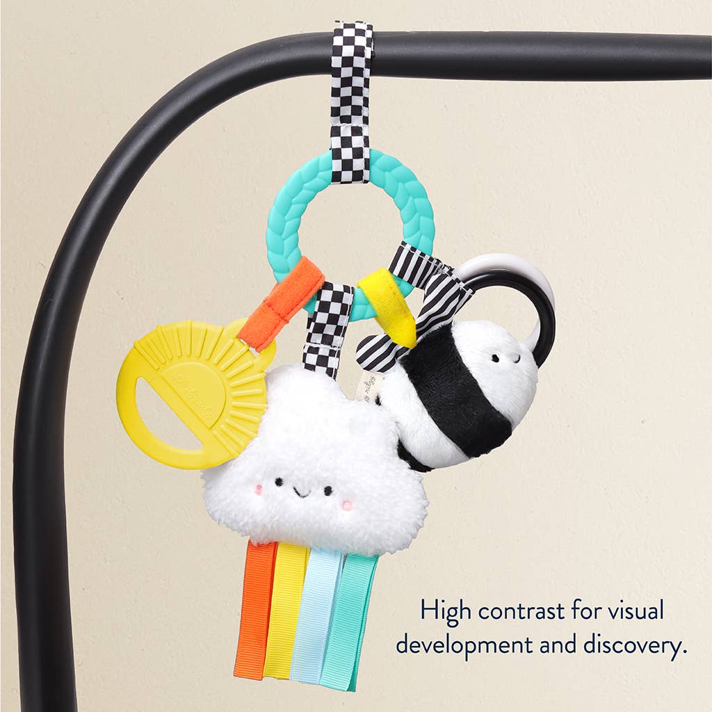 *NEW OPTION* Bitzy Busy Ring™ Teething Activity Toy