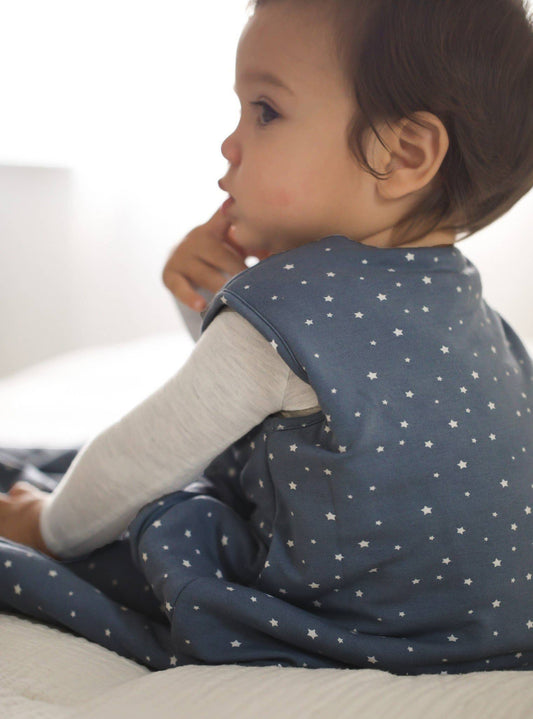 SLEEP BAG 2.5 TOG