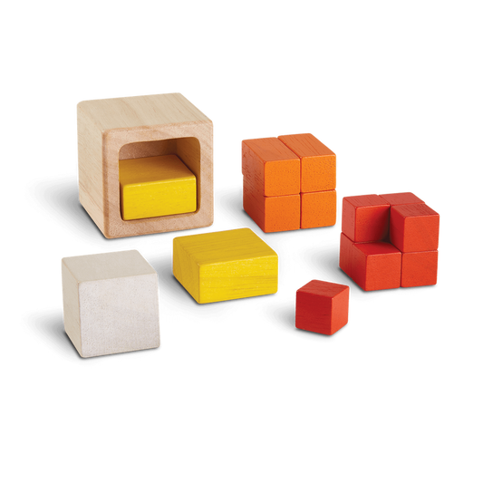 Plantoys Fraction Cubes