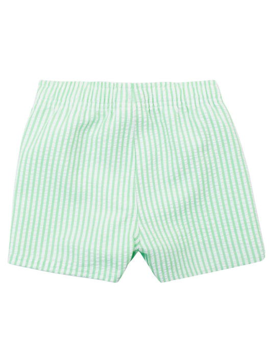 Boys Spring Green Seersucker Swim Trunks