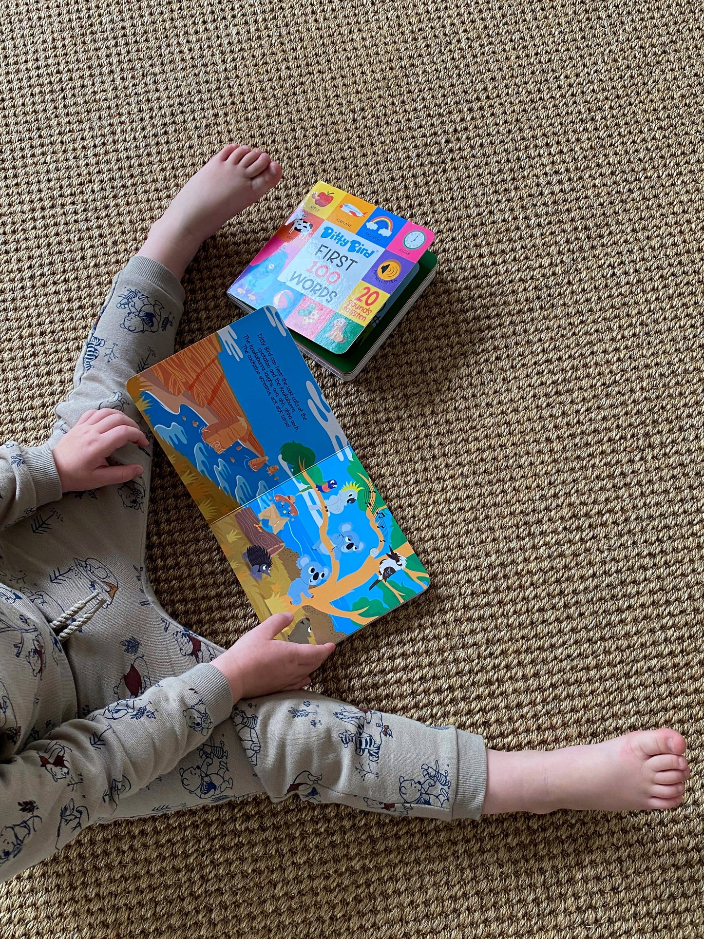 Ditty Bird Baby Sound Book: Sounds of Australia