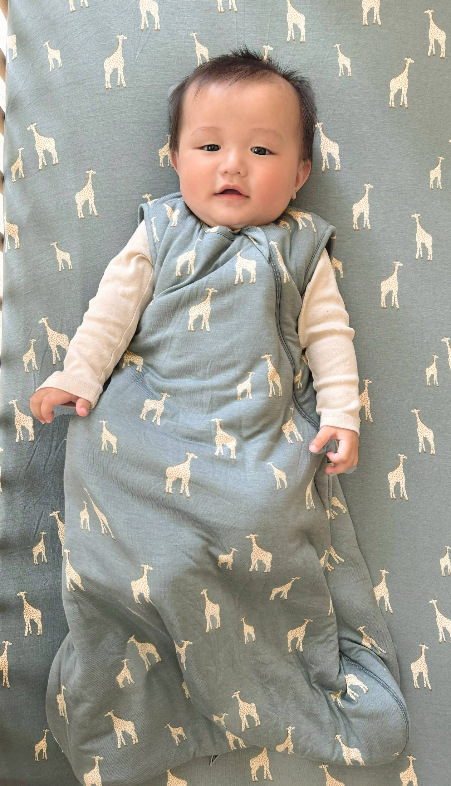 SLEEP BAG 2.5 TOG