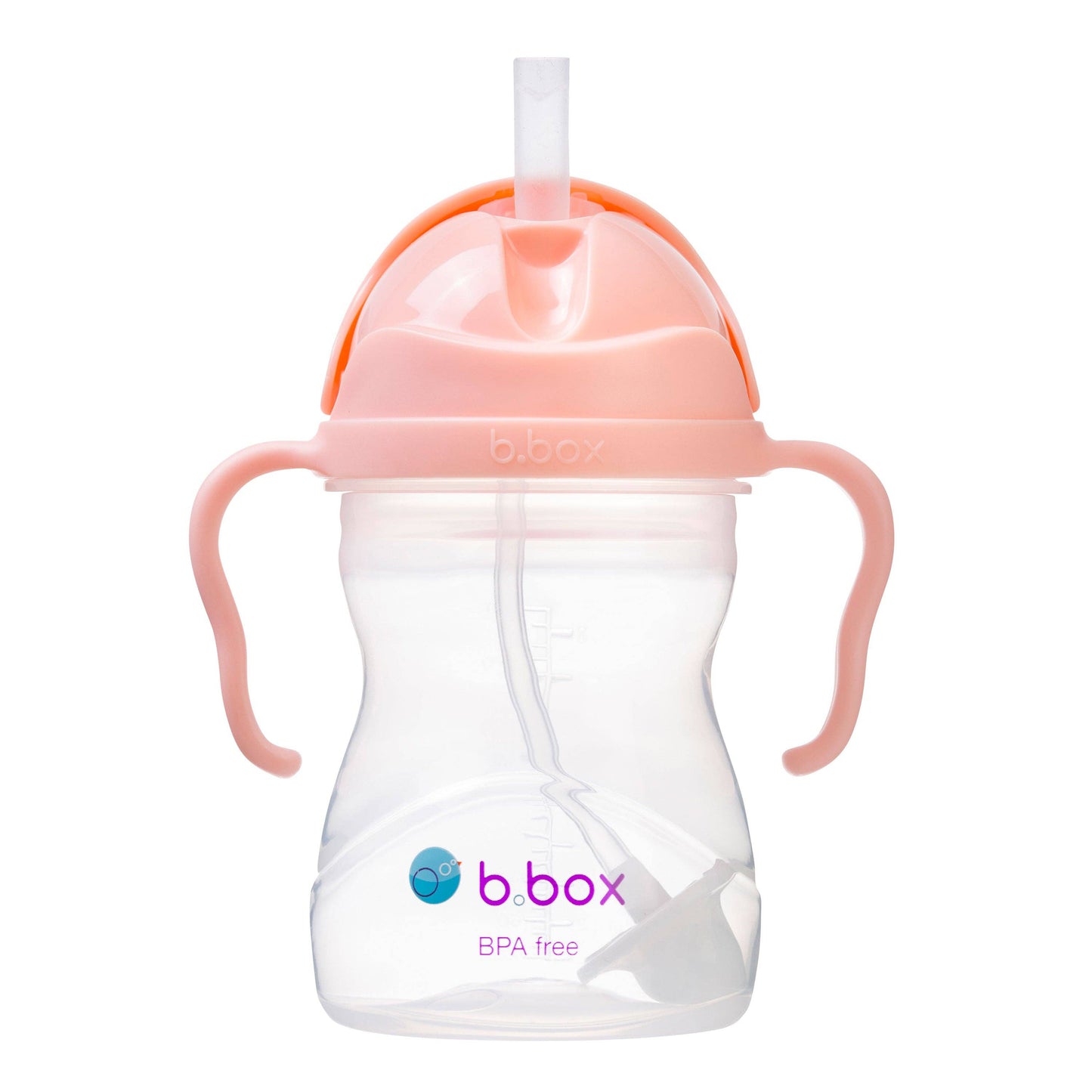 2 pack sippy cup - tutti frutti + boysenberry