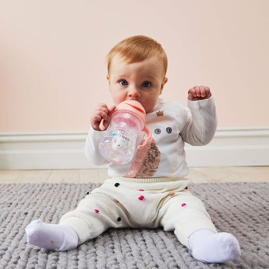 Sippy cup - blush