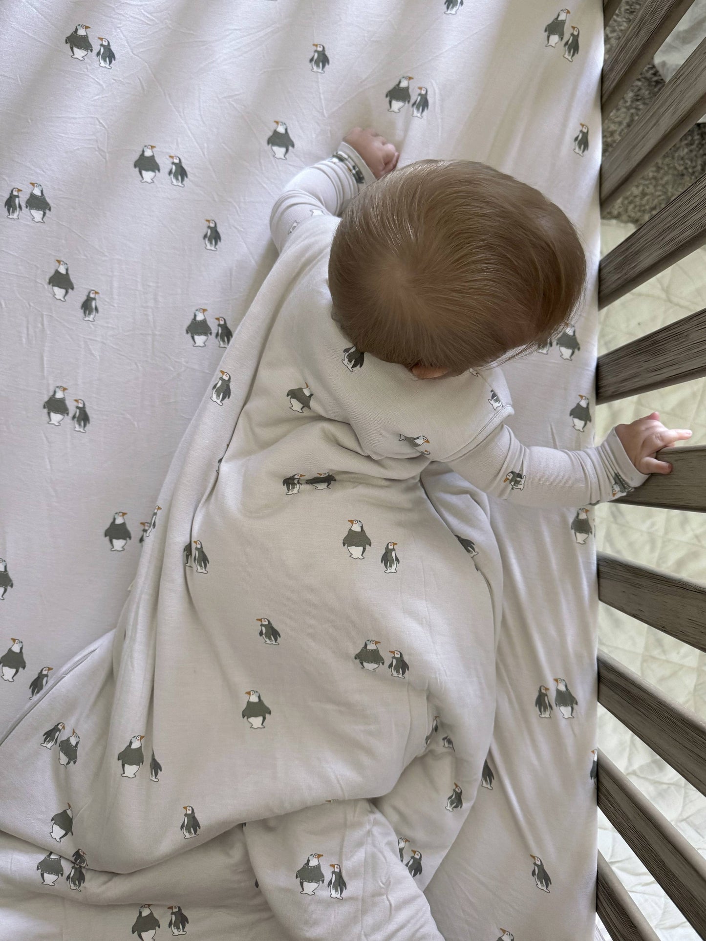 SLEEP BAG 1.0 TOG