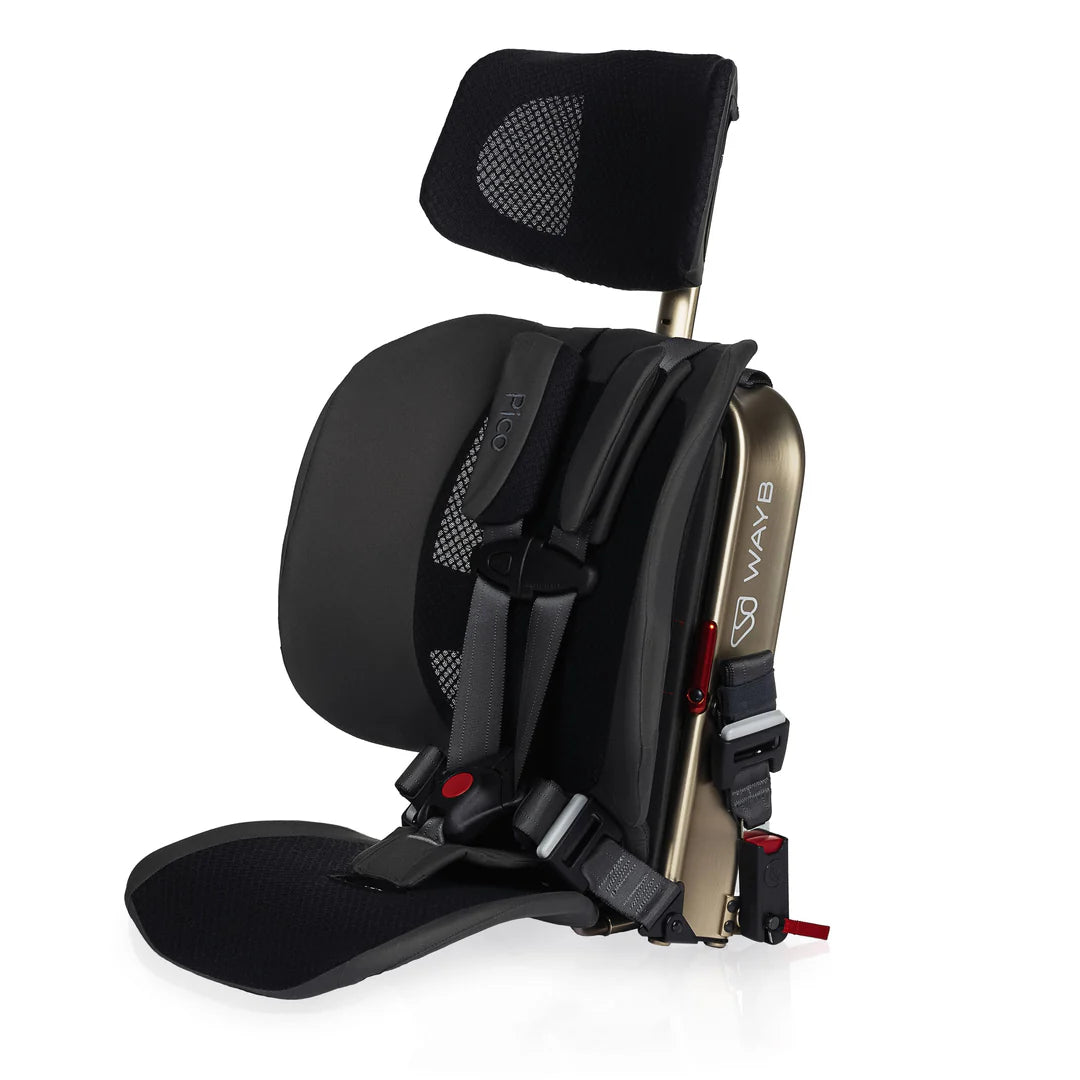 WAYB Pico™ Portable Car Seat